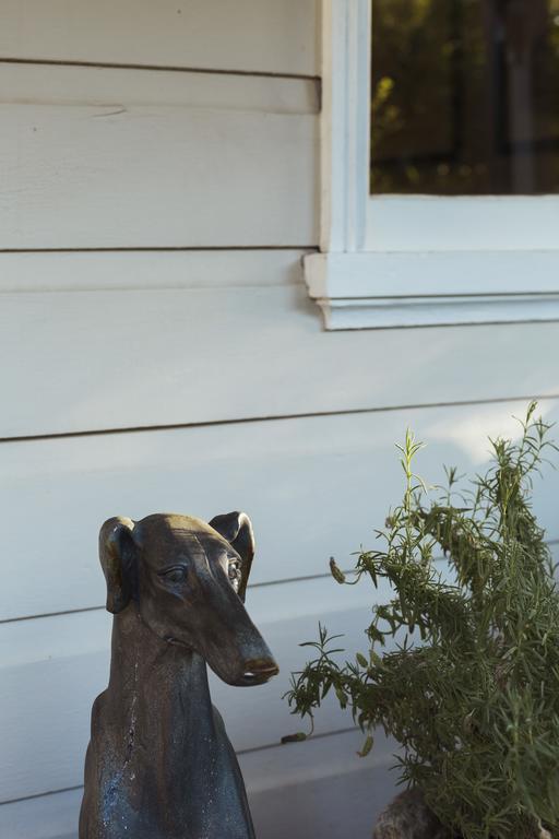Illalangi Boutique Cottage Blackheath Exterior foto